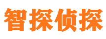 启东市场调查